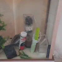 اکواریوم‌ شرکتی تروتمیز در حدنو|ماهی|تهران, افسریه شمالی|دیوار