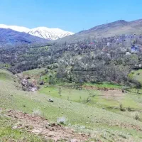 اجاره-ویلا-دربست-در-طالقان