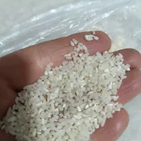 برنج ونیم دانه کیلویی ۱۶۵|خوردنی و آشامیدنی|کردکوی, |دیوار