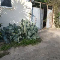 فروش ویلا مسکونی دارای سند تک برگ|فروش خانه و ویلا|رشت, حومه رشت|دیوار