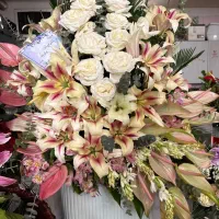 فروش فوری استند و سبد گل مراسم