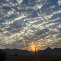 عاشق ابوموسی