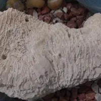 سنگ آکواریوم