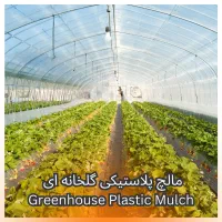 نایلون مالچ مناسب گلخانه و کشاورزی مدرن|خدمات باغبانی و درختکاری|تیران, |دیوار