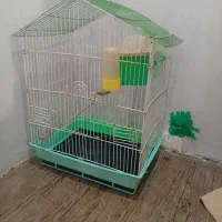 قفس