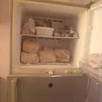 یخچال فریزر|یخچال و فریزر|خورموج, |دیوار