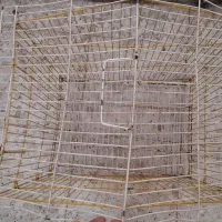 قفس پرنده|لوازم جانبی حیوانات|قم, نخودی|دیوار