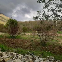 فروش-زمین