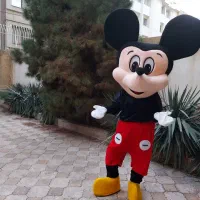 تن پوش عروسکی|حراج|نوشین شهر, |دیوار