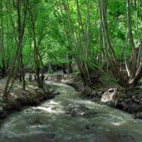 جمعه میرم ارتکندکی میاد