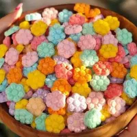 قند و نبات های فانتزی