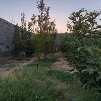 باغچه ۴۰۰ متری سند تک برگ پاکدشت