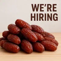 استخدام نیرو