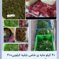 ۳۵ کیلو مایه شامی بابلی آماده بامخلفاتش کیلویی ۴۰۰