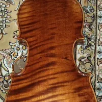 ویلن فوق حرفه ای