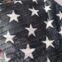 تشک و پتو با مناسبترین قیمت|رختخواب، بالش، پتو|شیراز, فرگاز|دیوار