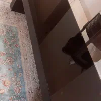 میز تلویزیون/میز وسط مبل|میز تلویزیون|تهران, حشمتیه|دیوار