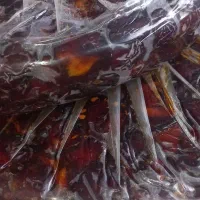 خرمامرداسنگ.رودان