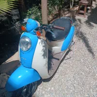 موتور پاکشتی گرینو اسکوپی