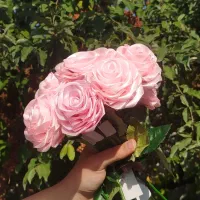 گلهای روبانی|گل مصنوعی|بندر انزلی, سامانسر|دیوار