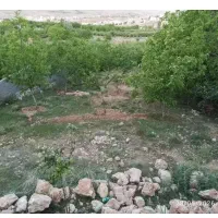 فروشی