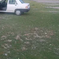 زمین مسکونی واقع درپشت فنی حرفه ای ملکشاهی.|فروش زمین و ملک کلنگی|ملکشاهی, |دیوار