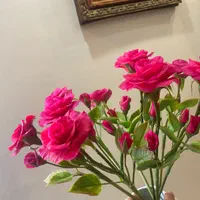 گل رز های قالبی (انعطافی )|گل مصنوعی|تهران, قنات‌کوثر|دیوار