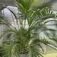 منشی نیمه وقت