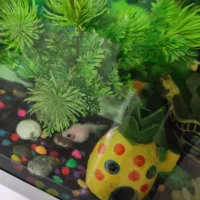 اکواریوم منحفنی|ماهی|ری, شهید بهشتی|دیوار