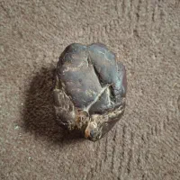 شهاب سنگ|جواهرات|علی‌آباد کتول, |دیوار