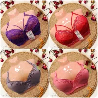 تولیدی لباس زیر و....|لباس|اصفهان, نقش جهان|دیوار