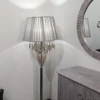 آپاژور نقره ای