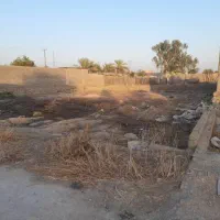 زمین ۴۵۰ متری شهر زهره|فروش زمین و ملک کلنگی|هندیجان, |دیوار