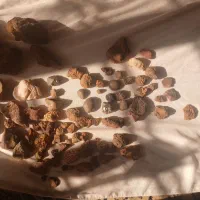 شهاب سنگ|کلکسیون اشیاء عتیقه|شیراز, گویم|دیوار