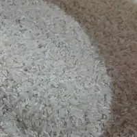 برنج سرلاشه فجرسوزنی