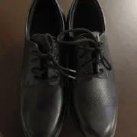 کفش چرم مردانه نو