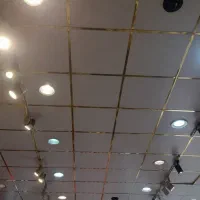 فروشنده خانم