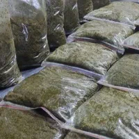 سبزی خورد شده|خوردنی و آشامیدنی|رشت, چله خانه|دیوار