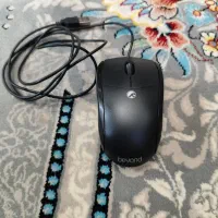 موس سالم نو|قطعات و لوازم جانبی رایانه|قم, ولیعصر|دیوار