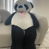 خرس سفید مشکی