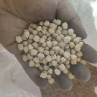 نخود امسال کیفیت خوب