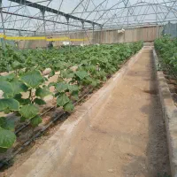 فروش ۳۰۰۰ متری