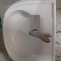 صورت شوری