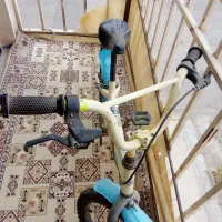 دوچرخه بیست|دوچرخه، اسکیت، اسکوتر|تاکستان, |دیوار