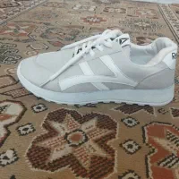 کفش اسپرت