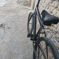 دوچرخه سالم تنه لاتانی 24 با ترک