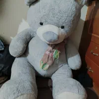 خرس یک متری