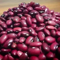لوبیا قرمز درجه یک