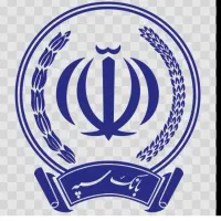 ۱۰۰ملیون بدون ضامن