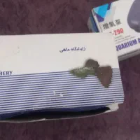 اکواریوم|ماهی|تربتحیدریه, فرمانداری|دیوار